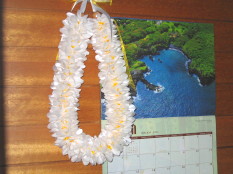 Butterfly Ginger Lei