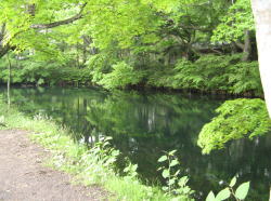 軽井沢の雲場池