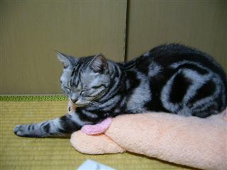 P1000988_R.jpg