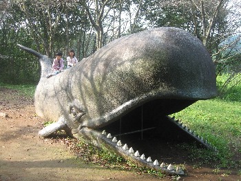1002-4.JPG