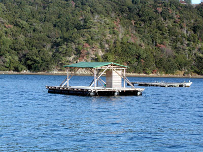 2010、１徳島釣り (7).jpg