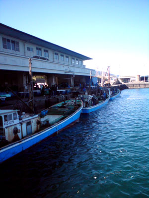 burog2010,3,21室戸携帯けいたい (16).jpg