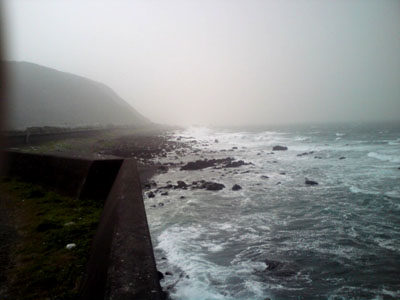 burog2010,3,21室戸携帯けいたい (8).jpg