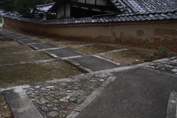 リベラルｔ１.jpg