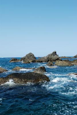 burog2010,3,21室戸 (49).jpg