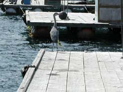 画像 turi100116 (49).jpg