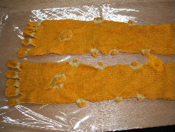 2006_0615kusaki0048.JPG