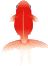 金魚素材２