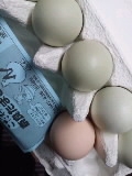 2011-04-18 11:43:51