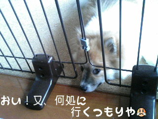 何処行くつもりや