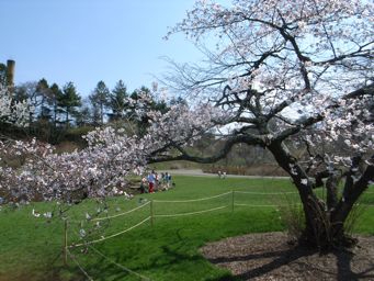 20080423_5