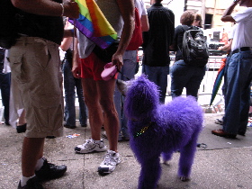 PrideCelebration2006その7