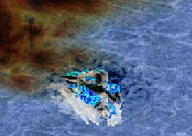 上半身のみ･･･