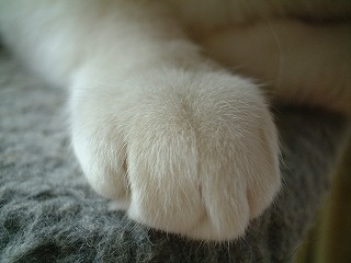 s-DSCF0015.jpg