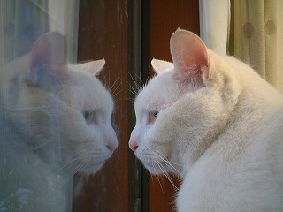 s-DSCF0123.jpg