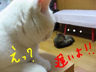 s-IMG_0118s.JPG