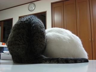 s-IMG_1659.jpg
