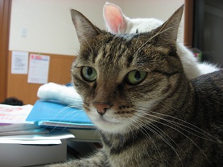 s-IMG_1669.jpg