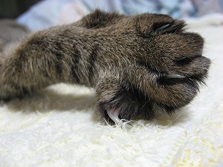 s-IMG_2233.jpg