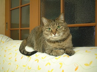 s-DSCF0103.jpg