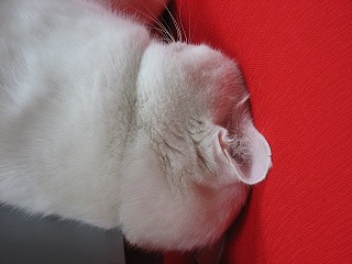 s-IMG_1645.jpg