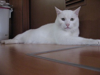 s-IMG_1020.jpg