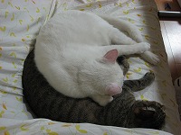 s-IMG_2110.jpg