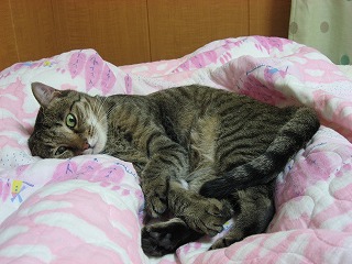 s-IMG_1461.jpg