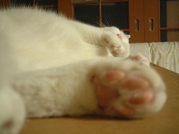 s-DSCF0024.jpg