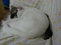 s-IMG_2126.jpg