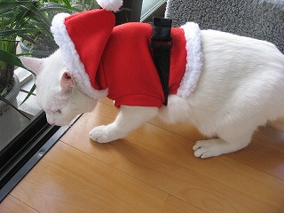 s-IMG_2850.jpg