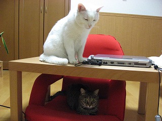 s-IMG_1138.jpg