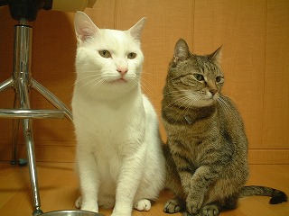 s-DSCF0082.jpg