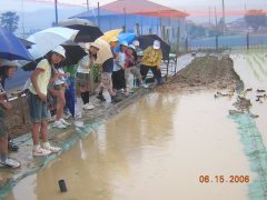 20060615_005-s.jpg