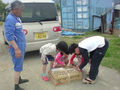 20080615_006_s.jpg