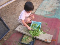 20060613_007-s.jpg