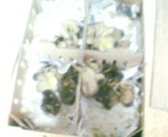 200706160208-s.jpg