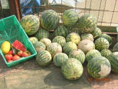 20060730_001-s.jpg