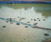 200606121609.jpg