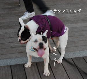 フレ10