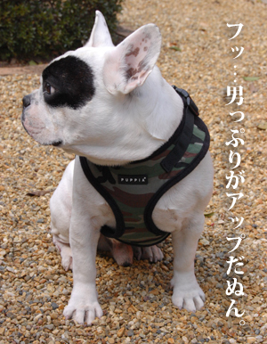 6歳2