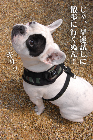 6歳3