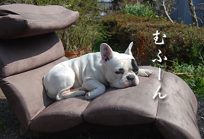 留守b