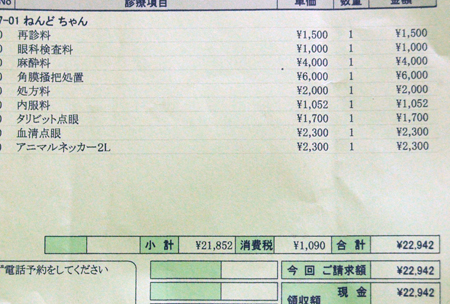 目-4.jpg