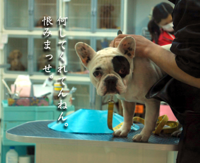 シャンプー1