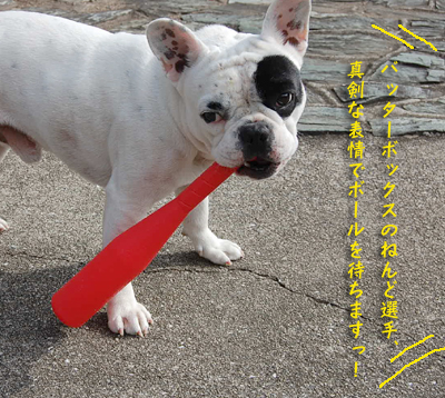 野球4