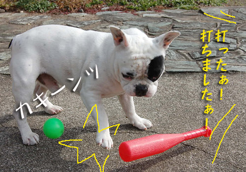 野球5
