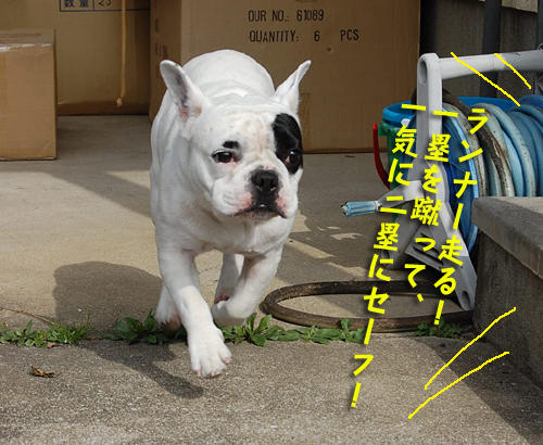 野球7