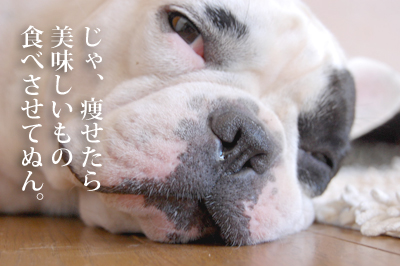 肥満5