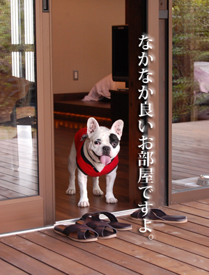 小笠原6